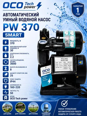 Nasos PW 370 1