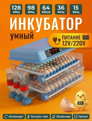 Инкубатор  Автомат Заводской 1
