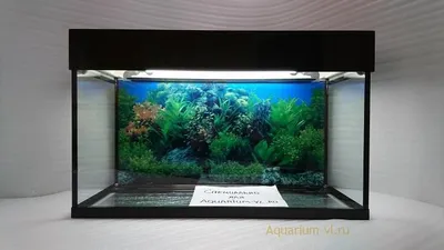 Аквариум на 60 лиров