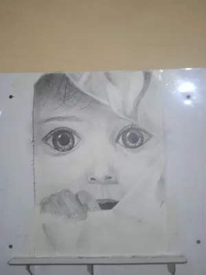 77 533 29 02