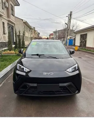 BYD Seagull — naqd pulga sotish va halol muddatli to‘lov 1