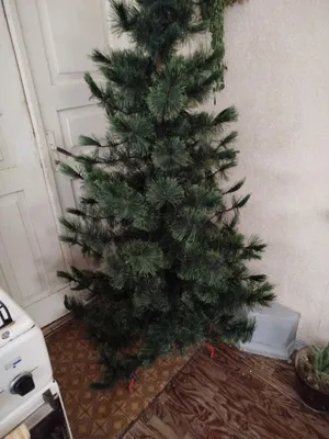 Taglikdagi yangi yil archasi sotiladi 1
