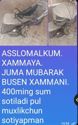 BOLAJON KALASKA 1