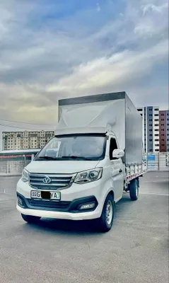 Changan. Чанган Шинерай 22/23, краска чистая