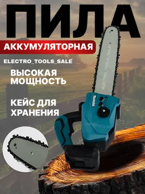 Akkumulyatorli zanjirli arra