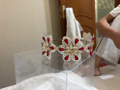 abadog diadema 1