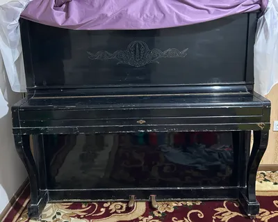 «Belarus» pianinosi 1