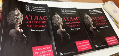Атлас по Анатомии Синельникова Томы 1,2,3 1