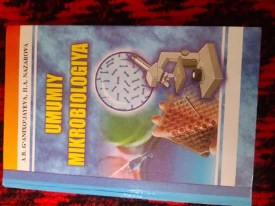 книга