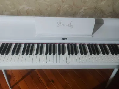 Elektron pianino 1