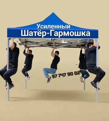 Зонтик оригинали фақат бизда оптом 1