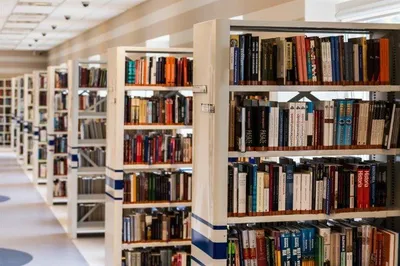 Rossiyaning istalgan saytlaridan kitoblar xarid qilishda yordam beraman 1