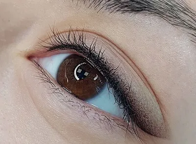 Kiprik oralig‘i tatuaji (mezhresnichka) 1