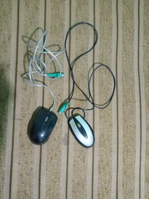 Kompyuter uchun sichqonchalar