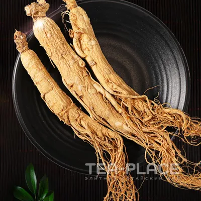 Корень женьшеня дикий(Цена за штуку) 1