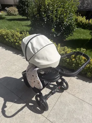 kalyaska ADAMEX brend 1