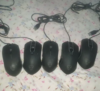 Sichqonchalar a’lo holatda, 5 dona, 100000