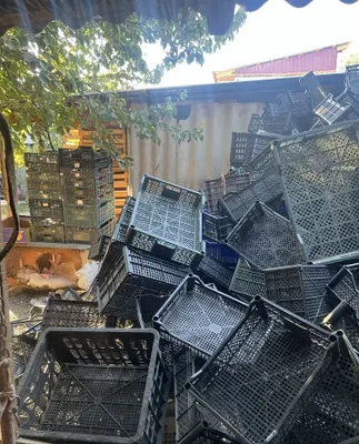 Ящики оптом и в розницу 1