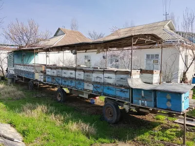 Пасека. Пчеловодный прицепы 1
