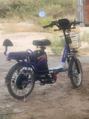 Feysal veloskuter 1