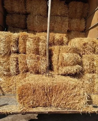 Somon press sotiladi.razmeri 90 lik.dostavka bor 1