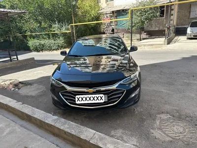 Malibu Premier 2022 sotiladi 1