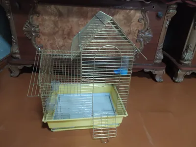 Клетки для птиц. 1