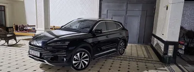 BYD Champion гибрид 150 л.с. 1
