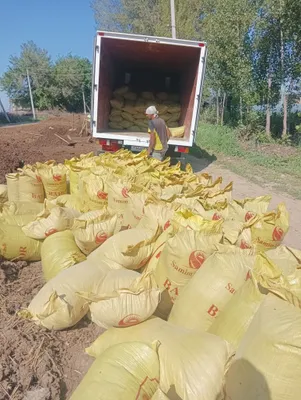 Доставка Bio Gomus 1