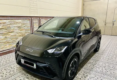 BYD Seagull 405 км, полная комплектация 1