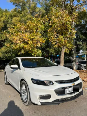 Malibu2 2018 1