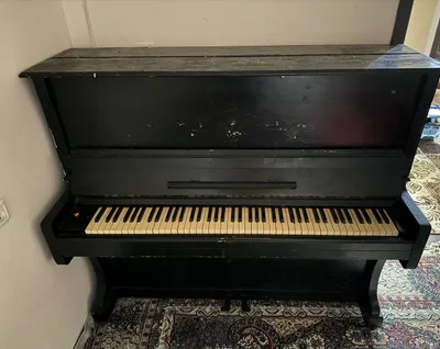 Belarusiya Pianina 1
