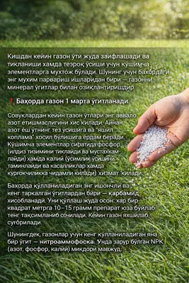 Газон под ключ! 1
