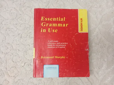 Essential Grammar in Use (Raymond Murphy)