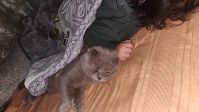 Mushuk juda ozoda oz tualetiga boradi 1