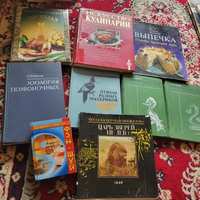 Boshqa kitoblar sotiladi