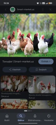 Продаётся птица