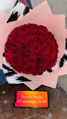 Qirmizi atirgullardan ajoyib buket 1