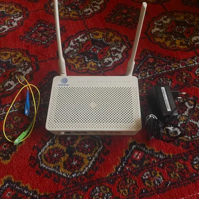 gpon router