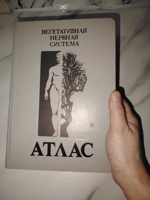Вегетативная нервная система 1
