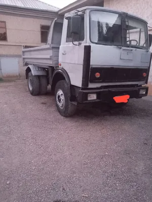 Maz samasval holati zõr 1