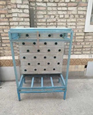 Qushlar uchun qafas sotiladi 1