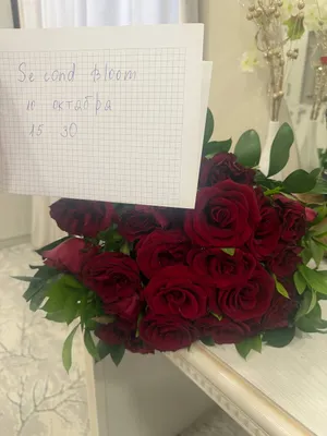 Длинные свежие розы 1