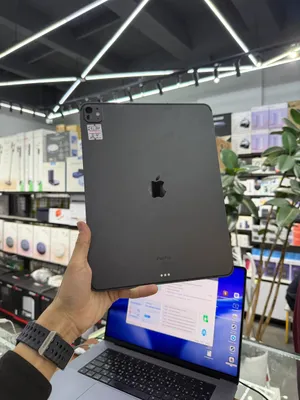 iPad Pro 13 M4 1