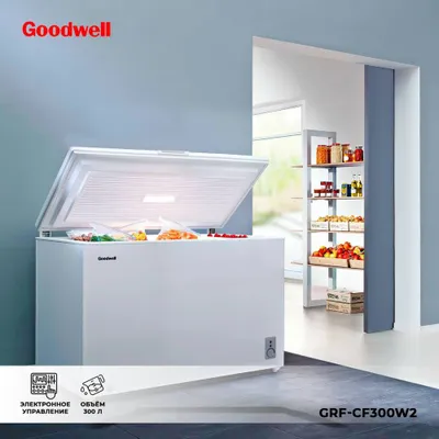 Морозильное камера ларь Goodwell GCF197W invertor 1