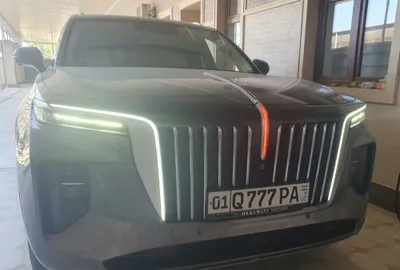HONGQI EHS9 kraska toza