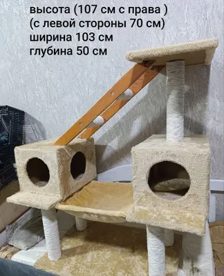 Mushuk uychasi mavjud. Yangi. 1