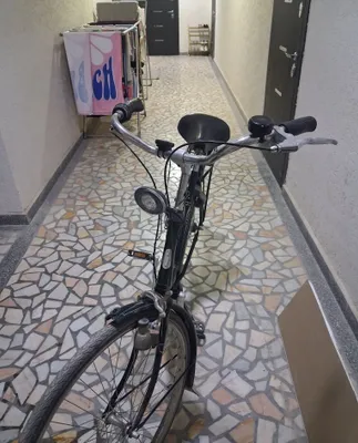 Velosiped 28 gazelle 1