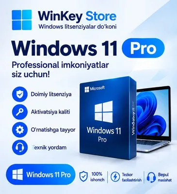 Windows 11 PRO 1