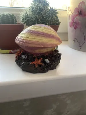 Akvarium uchun dekarauiya chig‘anog‘i 1